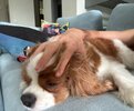 IMG_2916.jpeg