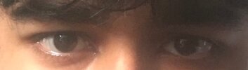 IMG_3238.jpeg