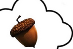 1743969057114.png
