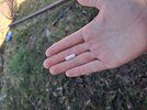 20250407_100523.jpg