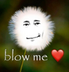 1744028396109.png
