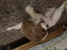 IMG_2947.jpeg