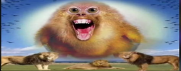 1744107030135.png
