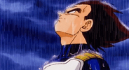 C0729768-29B8-4D99-BD20-0F3079BC400A.gif