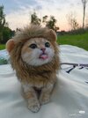 IMG_7328.jpeg
