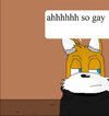 IMG_3427.jpeg