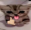 IMG_4441.jpeg
