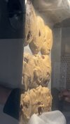 IMG_3042.jpeg