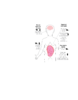 Toxic-effects-of-atrazine-on-human-and-rat.png