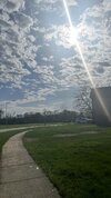 IMG_3875.jpeg