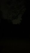 IMG_9736.jpeg