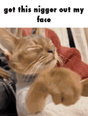 getthisniggaout.gif