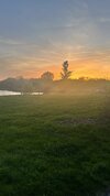 IMG_4185.jpeg