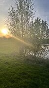 IMG_4175.jpeg