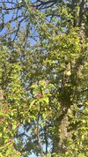 IMG_4145.jpeg