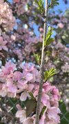 IMG_3956.jpeg