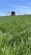 IMG_4071.jpeg