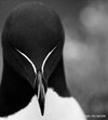 IMG_8174.jpeg