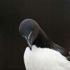 IMG_8175.jpeg