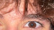 IMG_2413.jpeg