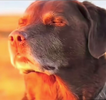 1745928143352.png