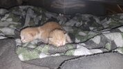 20250407_062803.jpg