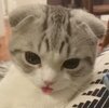 IMG_7166.jpeg