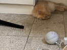 IMG_6932.jpeg