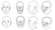 0d15b66f8043241a732940adeb93c80eb5702b76.webp
