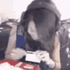 pokimane-cocaine.gif