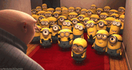 IMG_9843.gif