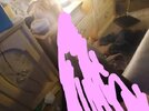 20250507_232429.jpg