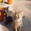 IMG_5399.jpeg