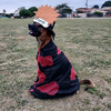 1746889875571.png