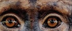 IMG_2391.jpeg