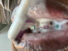 IMG_4614.jpeg