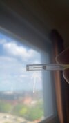 IMG_1253.jpeg