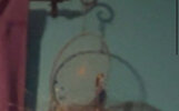 IMG_2098.jpeg