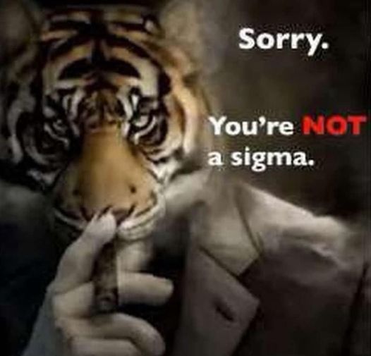 Tiger you're not a sigma | Sorry You're Not a Sigma | Know Your Meme
