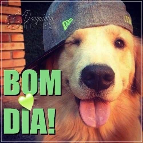 f460a3a083bf32447cd0ffb2f6bd646d.jpg