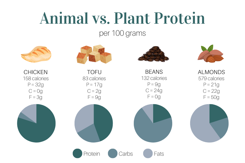 plant_protein_vs_animal_protein_chart.png