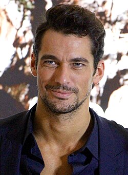250px-David_Gandy_1.jpg