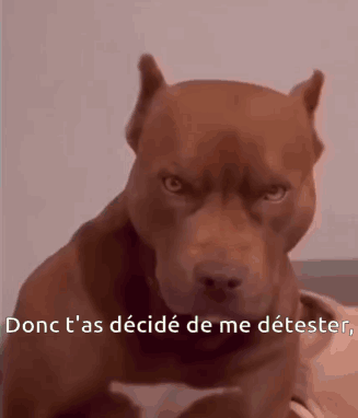 a close up of a brown dog with the words  onc t'as decide de me deteste  on the bottom right
