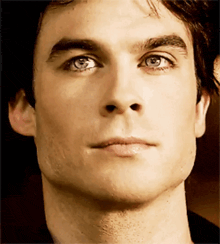 Damon Salvatore GIFs | Tenor