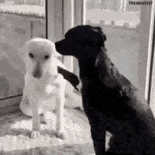 ori.gif