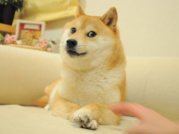 .