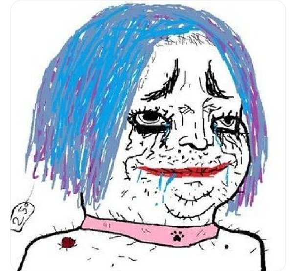 im crying what did they draw me like a troon wojak