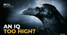 an advertisement for real science shows a crow in front of a math problem