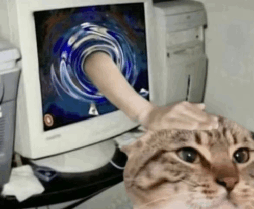 Pet Cat GIFs | Tenor