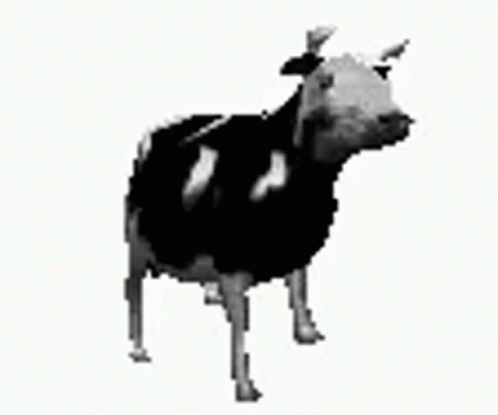 polish-cow-cow.gif